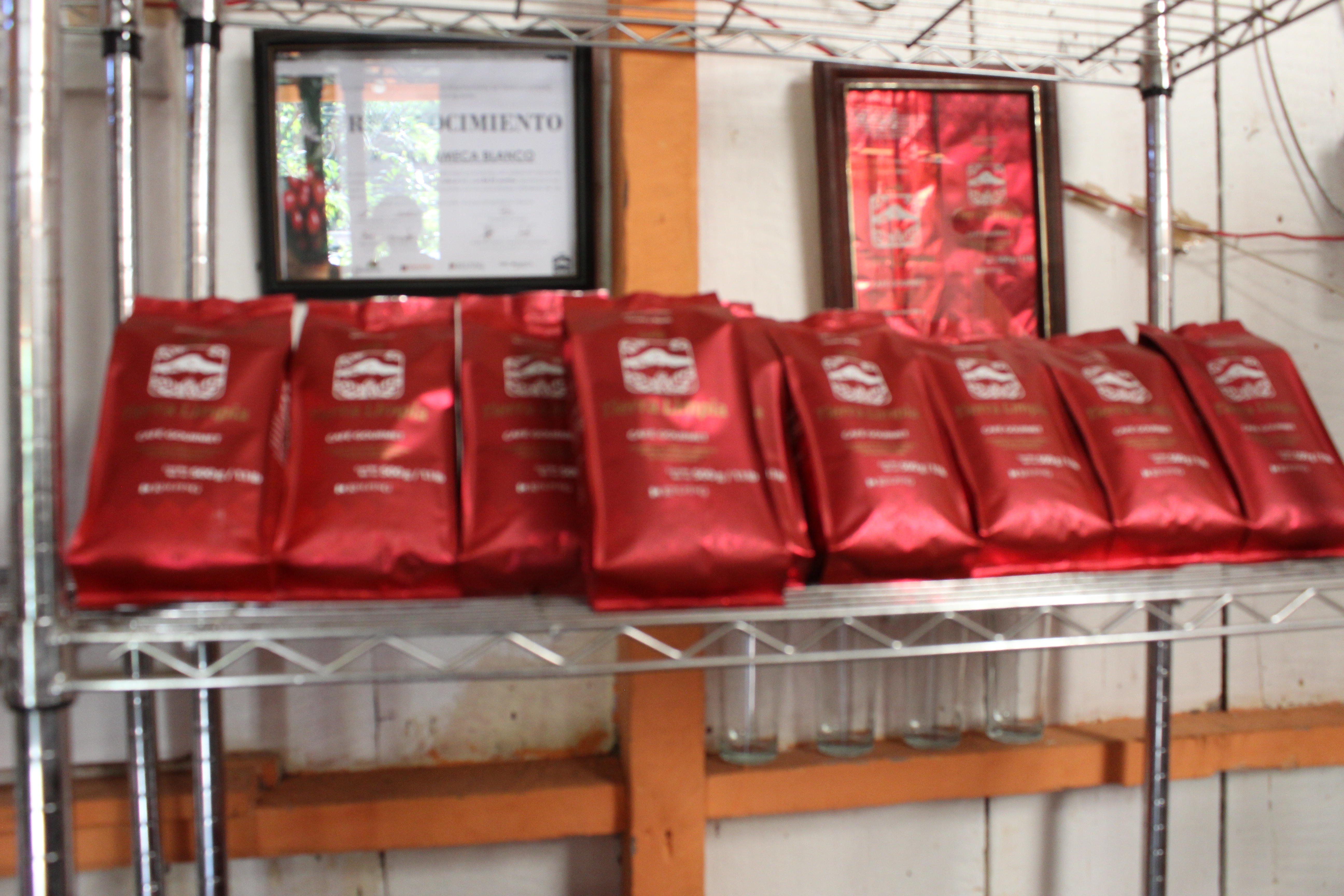 imagen Arábigo, calificación en taza 86